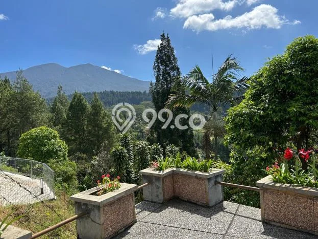 Vila Kawasan Bogor Selatan, Area 1345m2m², Lokasi Premium Vila Kawasan Bogor Selatan, Area 1345m2m², Lokasi Premium