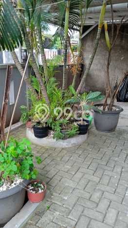 Turun Harga Rumah 2lantai Kiarasari Buah Batu Bandung Turun Harga Rumah 2lantai Kiarasari Buah Batu Bandung