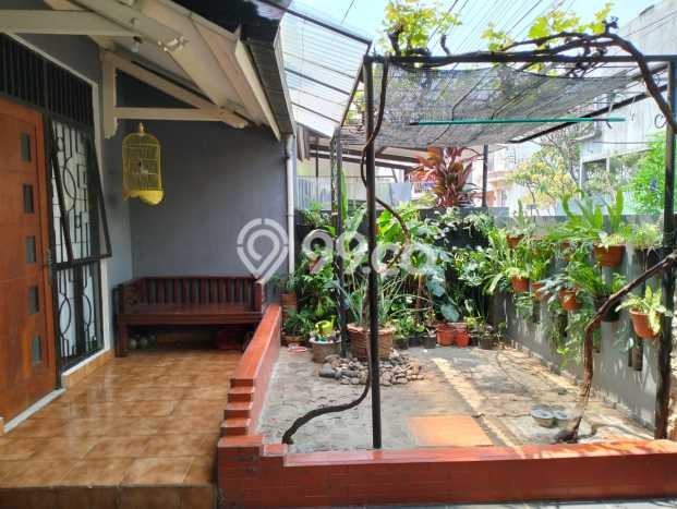 Disewakan Rumah Harga Terjangkau di Nusa Loka Bekasi Punya 3 Kamar Tidur Disewakan Rumah Harga Terjangkau di Nusa Loka Bekasi Punya 3 Kamar Tidur