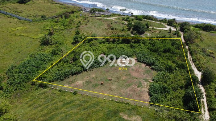 Tanah Komersial di Beraban, Luas 3600m², Pinggir Jalan Tanah Komersial di Beraban, Luas 3600m², Pinggir Jalan