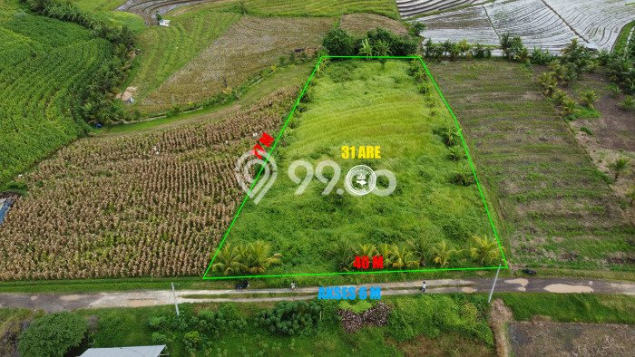 LOKASI STRATEGIS! Tanah di Megati, Luas 3100m², Lokasi Potensial, Cocok untuk Hunian LOKASI STRATEGIS! Tanah di Megati, Luas 3100m², Lokasi Potensial, Cocok untuk Hunian