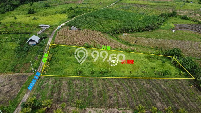 LOKASI STRATEGIS! Tanah di Megati, Luas 3100m², Lokasi Potensial, Cocok untuk Hunian LOKASI STRATEGIS! Tanah di Megati, Luas 3100m², Lokasi Potensial, Cocok untuk Hunian
