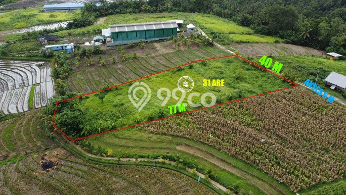 LOKASI STRATEGIS! Tanah di Megati, Luas 3100m², Lokasi Potensial, Cocok untuk Hunian LOKASI STRATEGIS! Tanah di Megati, Luas 3100m², Lokasi Potensial, Cocok untuk Hunian