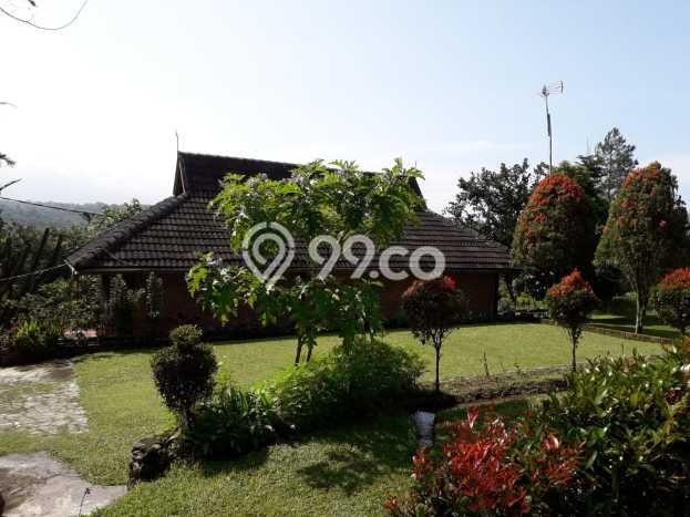 Kesempatan Investasi! Vila Kawasan , Ukuran 9235m2m², Lokasi Strategis dengan nilai meningkat Kesempatan Investasi! Vila Kawasan , Ukuran 9235m2m², Lokasi Strategis dengan nilai meningkat
