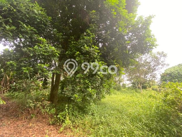 Tanah Investasi Dijual di Tangerang Punya Luas 10481m2 Tanah Investasi Dijual di Tangerang Punya Luas 10481m2