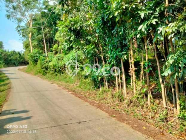 Kavling Tanah Dijual di Carita, Pandeglang, Luas 30000m2 Area Strategis Kavling Tanah Dijual di Carita, Pandeglang, Luas 30000m2 Area Strategis