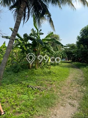 Kavling Tanah Dijual di Neglasari Tangerang Spesifikasi 1165m2 Kavling Tanah Dijual di Neglasari Tangerang Spesifikasi 1165m2