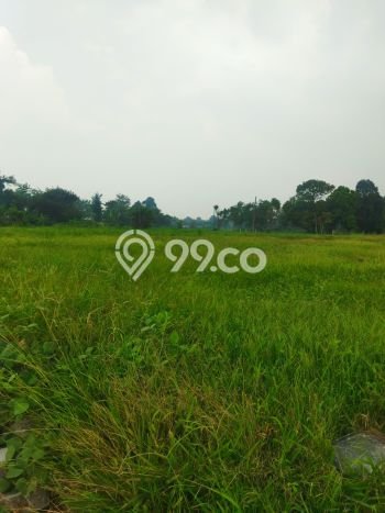 Untuk Dijual Tanah di Ranca Bungur Bogor Luas 39480m2 SHM Untuk Dijual Tanah di Ranca Bungur Bogor Luas 39480m2 SHM