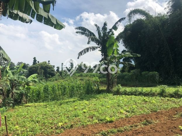 Kavling Tanah Dijual di Parongpong Bandung Barat Spesifikasi 22175m2 Kavling Tanah Dijual di Parongpong Bandung Barat Spesifikasi 22175m2