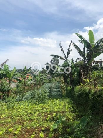 Kavling Tanah Dijual di Parongpong Bandung Barat Spesifikasi 22175m2 Kavling Tanah Dijual di Parongpong Bandung Barat Spesifikasi 22175m2