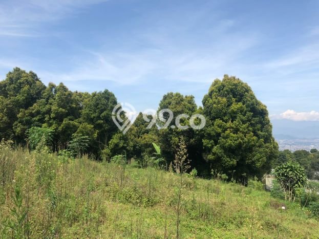Kavling Tanah Dijual di Parongpong Bandung Barat Spesifikasi 22175m2 Kavling Tanah Dijual di Parongpong Bandung Barat Spesifikasi 22175m2