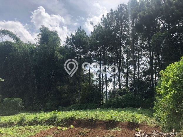 Kavling Tanah Dijual di Parongpong Bandung Barat Spesifikasi 22175m2 Kavling Tanah Dijual di Parongpong Bandung Barat Spesifikasi 22175m2