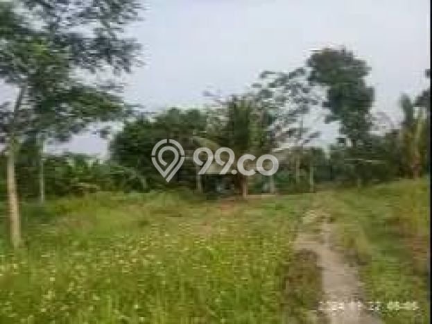 Tanah Strategis Kawasan Serang, Luas 29207m2m², Akses Serang, Serang, Serang Tanah Strategis Kawasan Serang, Luas 29207m2m², Akses Serang, Serang, Serang