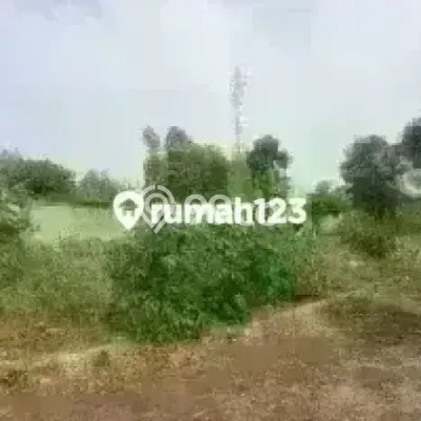 Dijual Tanah 360m2 di Sektor 9-Bintaro, Tangerang Selatan Dijual Tanah 360m2 di Sektor 9-Bintaro, Tangerang Selatan