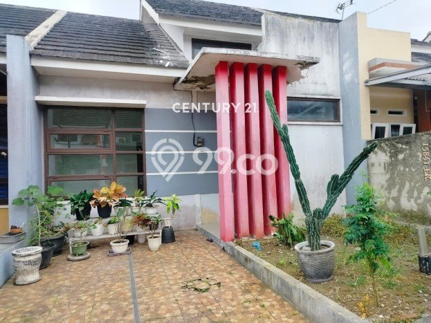 Jual Rumah Murah Meriah Sumbang Punya 2 KT & LT 90m2 Jual Rumah Murah Meriah Sumbang Punya 2 KT & LT 90m2