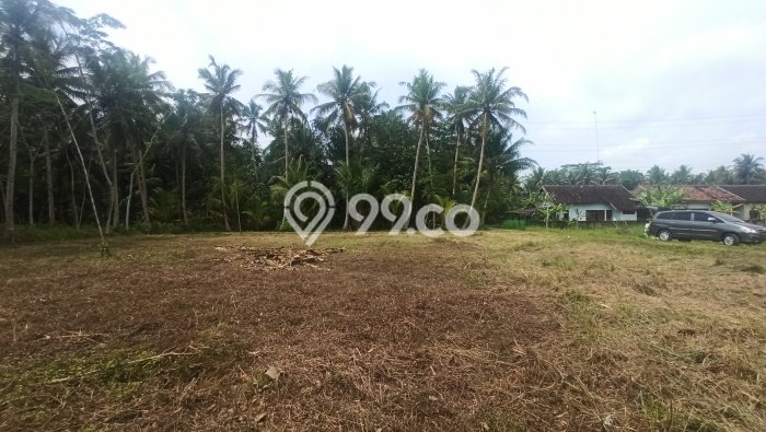 Tanah Di Panjatan Dekat Rsu Kharisma Paramedika Jogja Tanah Di Panjatan Dekat Rsu Kharisma Paramedika Jogja