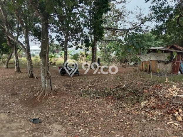 Kavling Tanah Dijual di Bojong Gede Bogor Spesifikasi 1891m2 Kavling Tanah Dijual di Bojong Gede Bogor Spesifikasi 1891m2