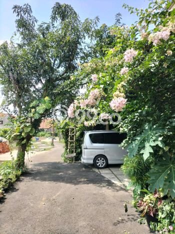 Jual Rumah Favorit Siap Huni LB 133m2 di Ciomas, Bogor Jual Rumah Favorit Siap Huni LB 133m2 di Ciomas, Bogor