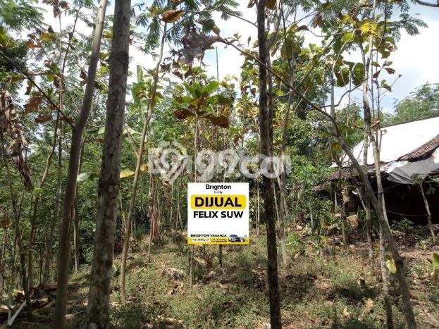 Lahan Kosong Dijual di Pandaan, Pasuruan, Luas 1369m2 Area Strategis Lahan Kosong Dijual di Pandaan, Pasuruan, Luas 1369m2 Area Strategis