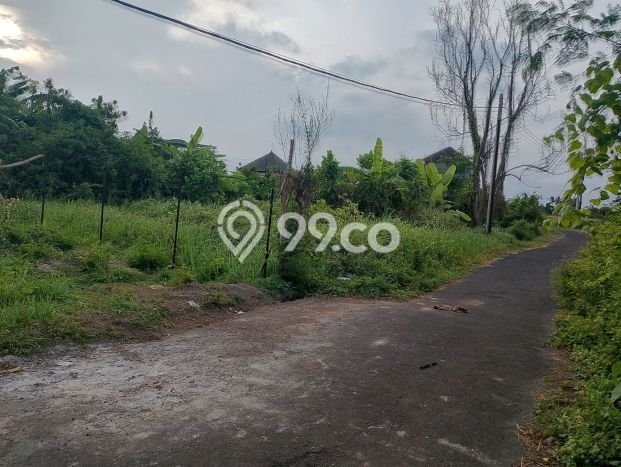 Dijual Tanah Lokasi Keramas, Gianyar Seluas 200m2 Dijual Tanah Lokasi Keramas, Gianyar Seluas 200m2