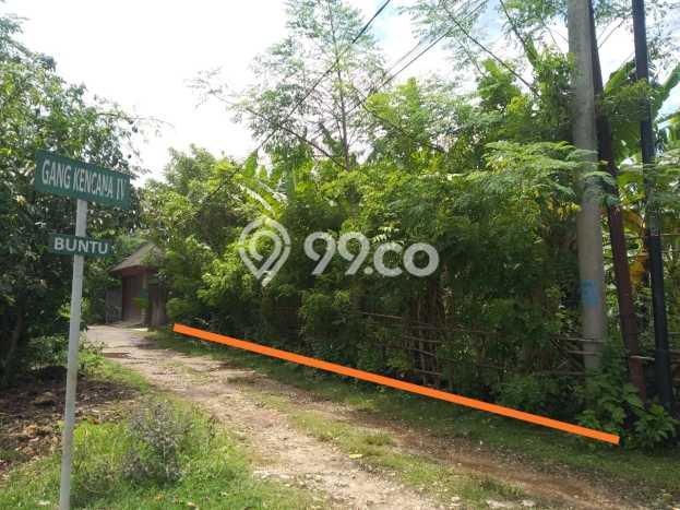 Tanah Siap Bangun Dijual di Badung Punya Luas 500m2 Tanah Siap Bangun Dijual di Badung Punya Luas 500m2