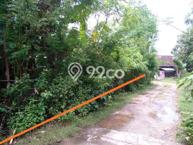 Tanah Siap Bangun Dijual di Badung Punya Luas 500m2 Tanah Siap Bangun Dijual di Badung Punya Luas 500m2