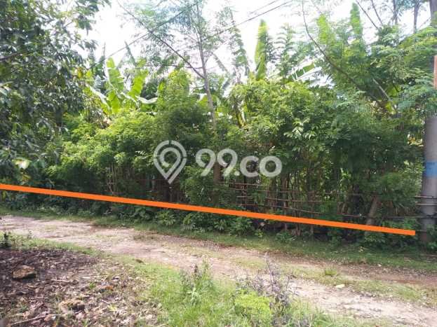 Tanah Siap Bangun Dijual di Badung Punya Luas 500m2 Tanah Siap Bangun Dijual di Badung Punya Luas 500m2