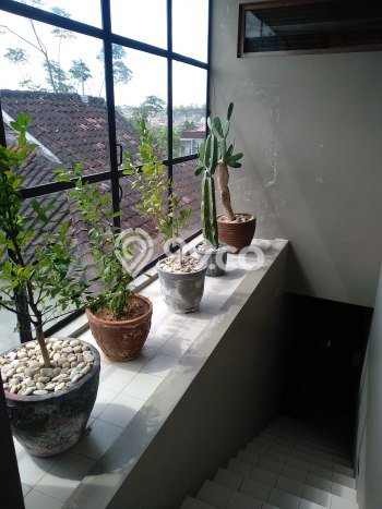 Rumah Luxury Modern Tanpa Renovasi di Ungasan Badung Rumah Luxury Modern Tanpa Renovasi di Ungasan Badung
