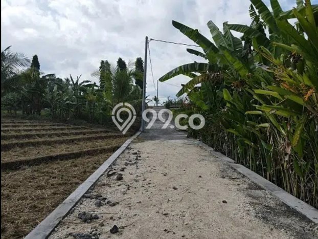 Tanah Kavling Disewakan di Tegalmengkeb dengan Luas 2405m2 Tanah Kavling Disewakan di Tegalmengkeb dengan Luas 2405m2