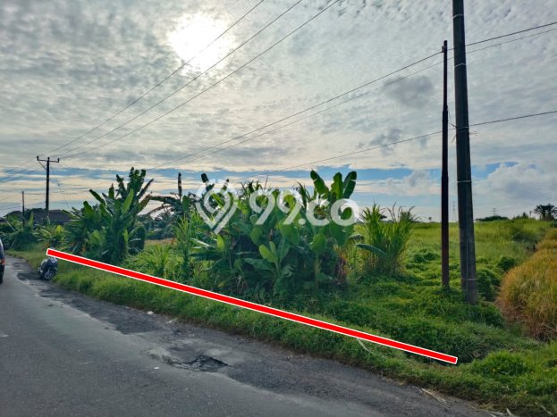 Dijual Tanah di Tabanan, Luas 2800m2 SHM Dijual Tanah di Tabanan, Luas 2800m2 SHM