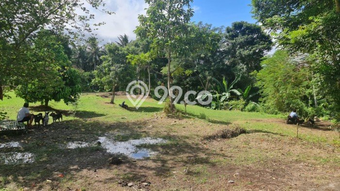 Tanah Lokasi Prima di Lodtunduh, Luas 2358m², Lingkungan Asri, Akses Lodtunduh, Gianyar, Gianyar Tanah Lokasi Prima di Lodtunduh, Luas 2358m², Lingkungan Asri, Akses Lodtunduh, Gianyar, Gianyar