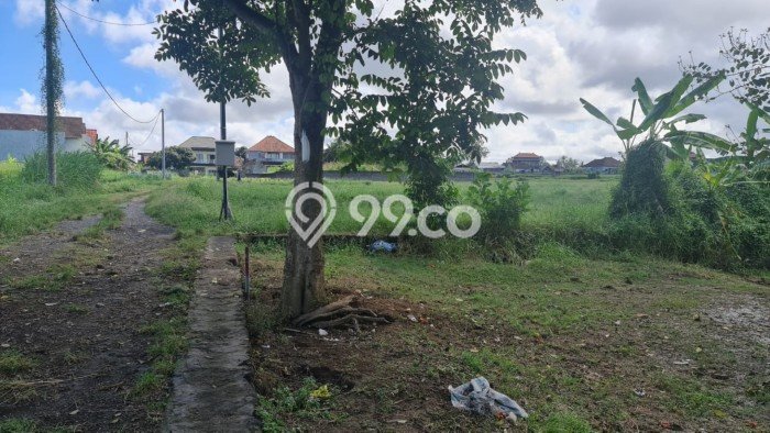 Tanah Lokasi Prima di Lodtunduh, Luas 2358m², Lingkungan Asri, Akses Lodtunduh, Gianyar, Gianyar Tanah Lokasi Prima di Lodtunduh, Luas 2358m², Lingkungan Asri, Akses Lodtunduh, Gianyar, Gianyar