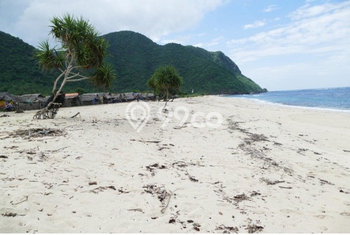 Lahan Investasi Lokasi Monta Bima SHM Lahan Investasi Lokasi Monta Bima SHM