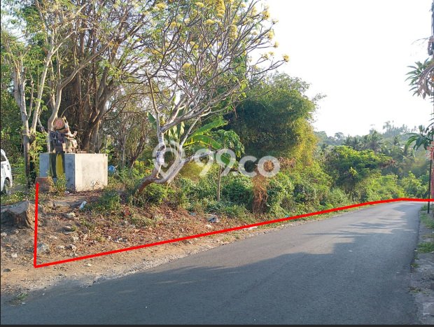 Untuk Dijual Tanah 2789m2 di Saba, Gianyar Untuk Dijual Tanah 2789m2 di Saba, Gianyar