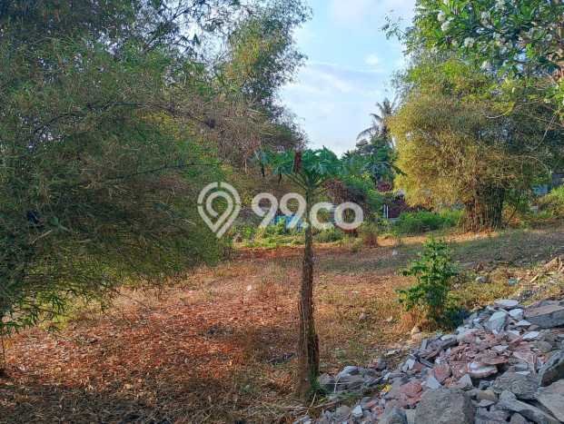 Untuk Dijual Tanah 2789m2 di Saba, Gianyar Untuk Dijual Tanah 2789m2 di Saba, Gianyar