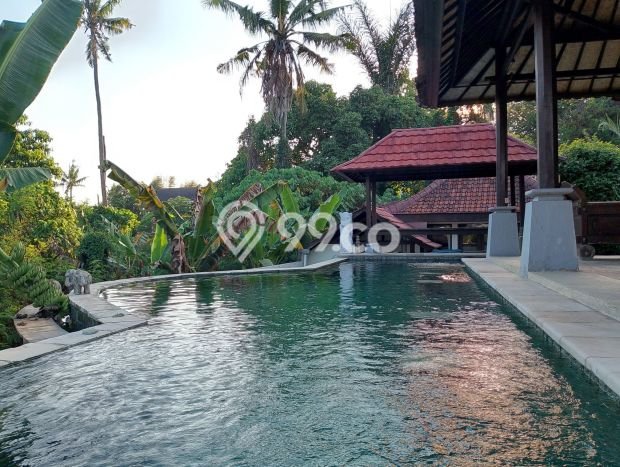 Rumah Elit Modern Tanpa Renovasi di Pering Gianyar Rumah Elit Modern Tanpa Renovasi di Pering Gianyar
