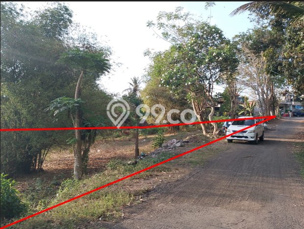 Untuk Dijual Tanah 2789m2 di Saba, Gianyar Untuk Dijual Tanah 2789m2 di Saba, Gianyar