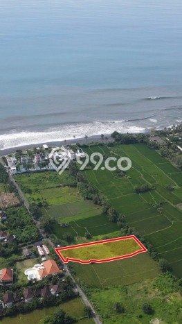 Tanah Investasi Dijual di Gianyar Punya Luas 1580m2 Tanah Investasi Dijual di Gianyar Punya Luas 1580m2