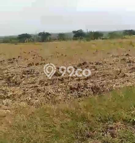 Tanah di Jenu, Tuban Luas 50000m2 Dijual Segera Tanah di Jenu, Tuban Luas 50000m2 Dijual Segera
