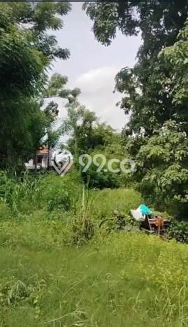 Lahan untuk Dijual di Rungkut Surabaya Luas 623m2 Lahan untuk Dijual di Rungkut Surabaya Luas 623m2