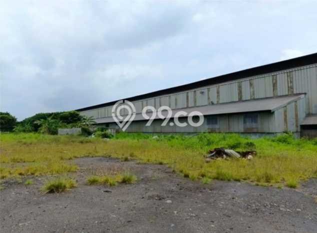 Tanah Dijual Lokasi Manyar, Gresik Luas 63745m2 Legalitas Aman Tanah Dijual Lokasi Manyar, Gresik Luas 63745m2 Legalitas Aman