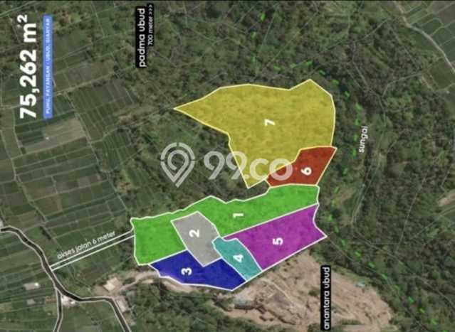 Untuk Dijual Tanah di Payangan Gianyar Luas 75262m2 SHM Untuk Dijual Tanah di Payangan Gianyar Luas 75262m2 SHM