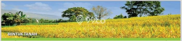 Tanah Dijual Lokasi Payangan, Gianyar Luas 180000m2 Legalitas Aman Tanah Dijual Lokasi Payangan, Gianyar Luas 180000m2 Legalitas Aman