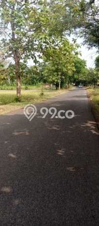 Jual Tanah Area Potensial Kawasan Palasah, Luas 50000m2m², Lingkungan Asri Jual Tanah Area Potensial Kawasan Palasah, Luas 50000m2m², Lingkungan Asri