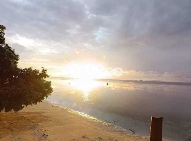 Dijual Tanah Kawasan Kedondong, Luas 350000m2m², Lingkungan Nyaman, Kontur Rata Dijual Tanah Kawasan Kedondong, Luas 350000m2m², Lingkungan Nyaman, Kontur Rata