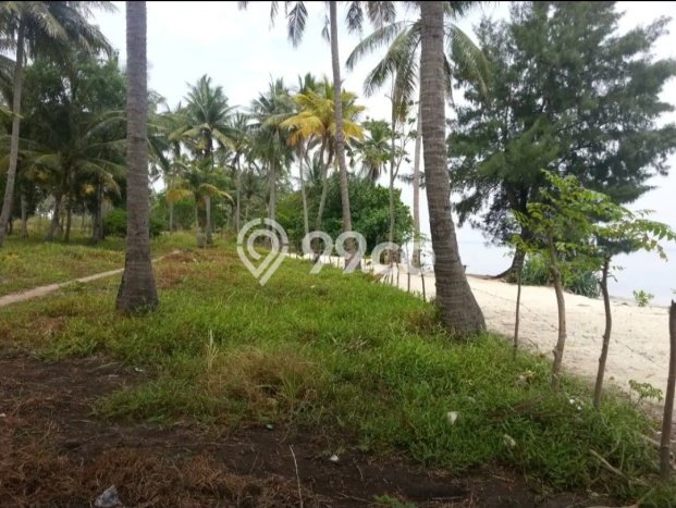 Kavling Tanah Dijual di Pulau Tidung, Kepulauan Seribu, Luas 20000m2 Area Strategis Kavling Tanah Dijual di Pulau Tidung, Kepulauan Seribu, Luas 20000m2 Area Strategis