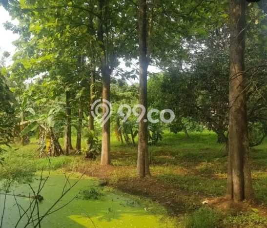 Tanah Kavling Dijual di Tangerang dengan Spesifikasi 12000m2 Tanah Kavling Dijual di Tangerang dengan Spesifikasi 12000m2