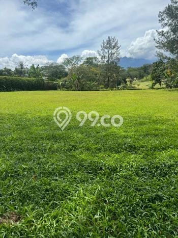 Untuk Dijual Tanah di Bogor, Luas 2020m2 - Untuk Dijual Tanah di Bogor, Luas 2020m2 -