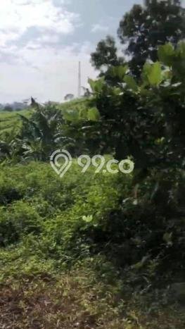 Kavling Tanah untuk Dijual di Sentul, Bogor, Luas 1e+06m2 Kavling Tanah untuk Dijual di Sentul, Bogor, Luas 1e+06m2