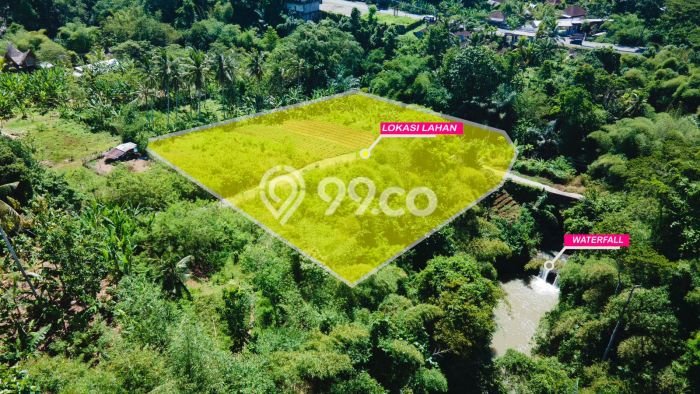 Tanah Kosong Dijual di Tabanan dengan Area 116m2 Tanah Kosong Dijual di Tabanan dengan Area 116m2